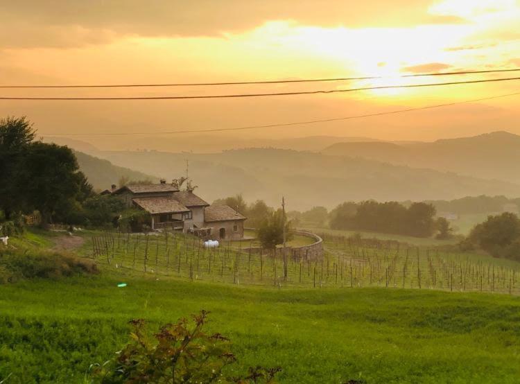 Fattoria Branciana Bed and Breakfast Rossena Buitenkant foto