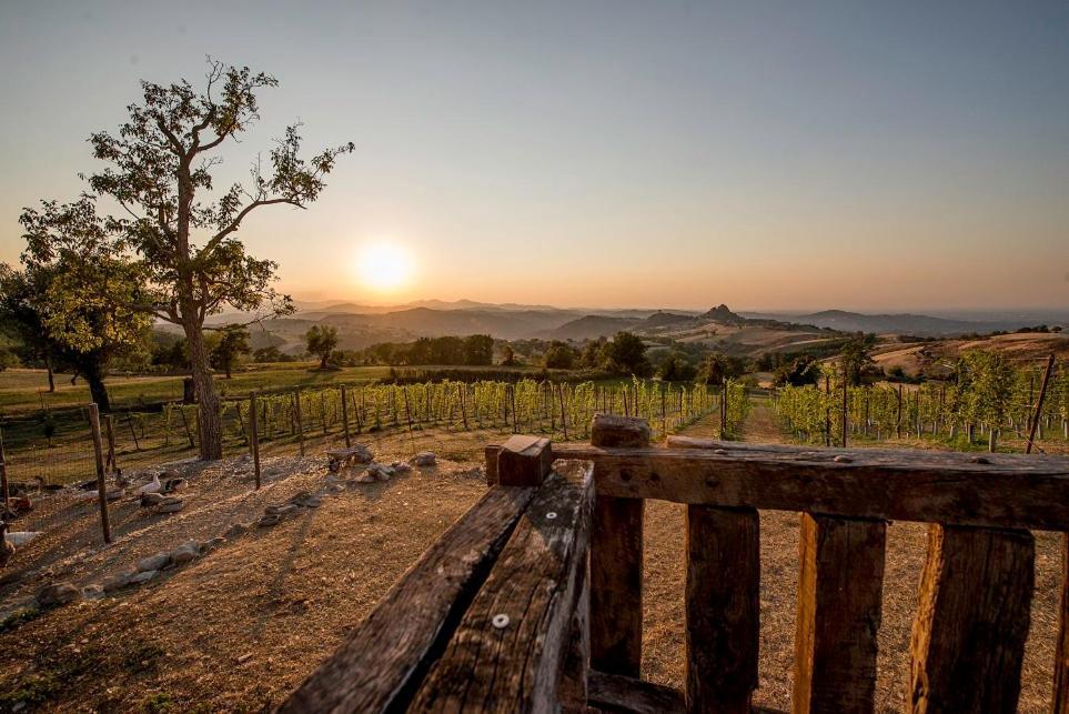 Fattoria Branciana Bed and Breakfast Rossena Buitenkant foto