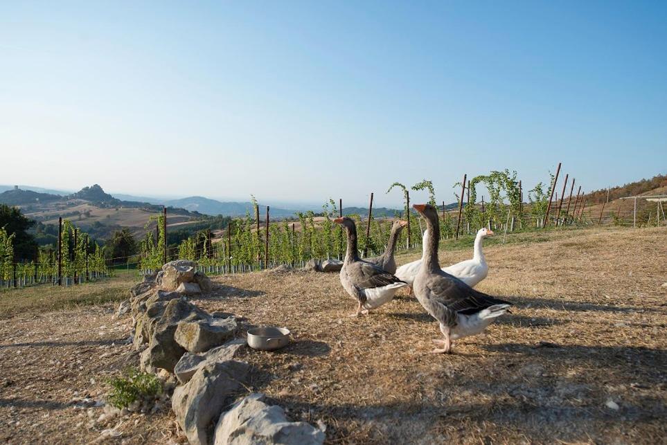 Fattoria Branciana Bed and Breakfast Rossena Buitenkant foto