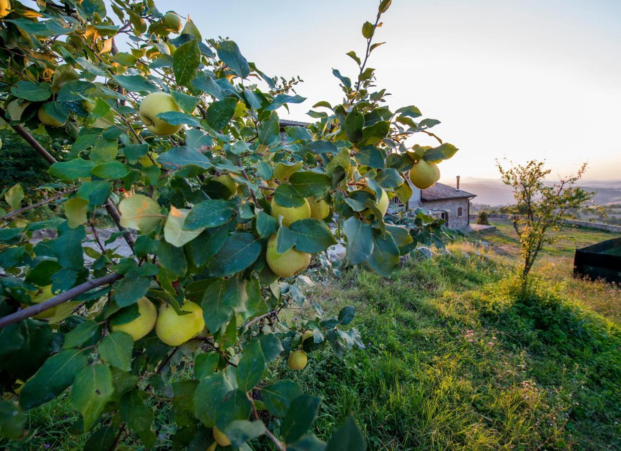 Fattoria Branciana Bed and Breakfast Rossena Buitenkant foto